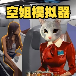 机场模拟器3D-空姐模拟器
